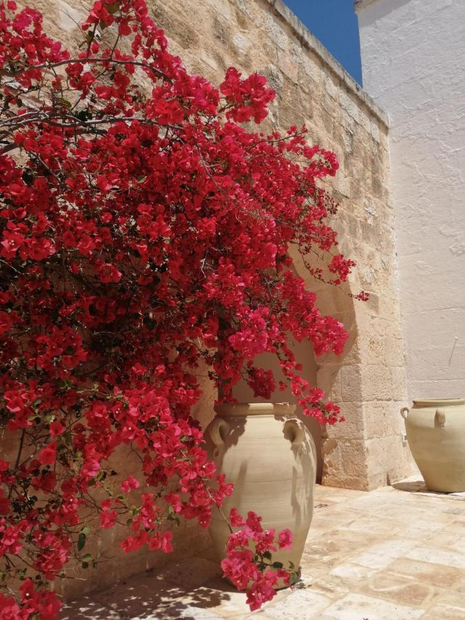 Masserie Maresca Ostuni Buitenkant foto
